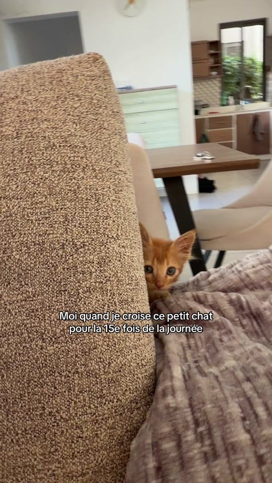 TikTok video thumbnail by _lea_thvnt_