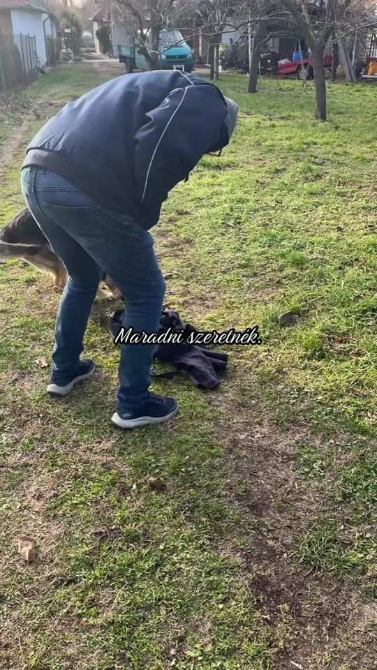 TikTok video thumbnail by benblani