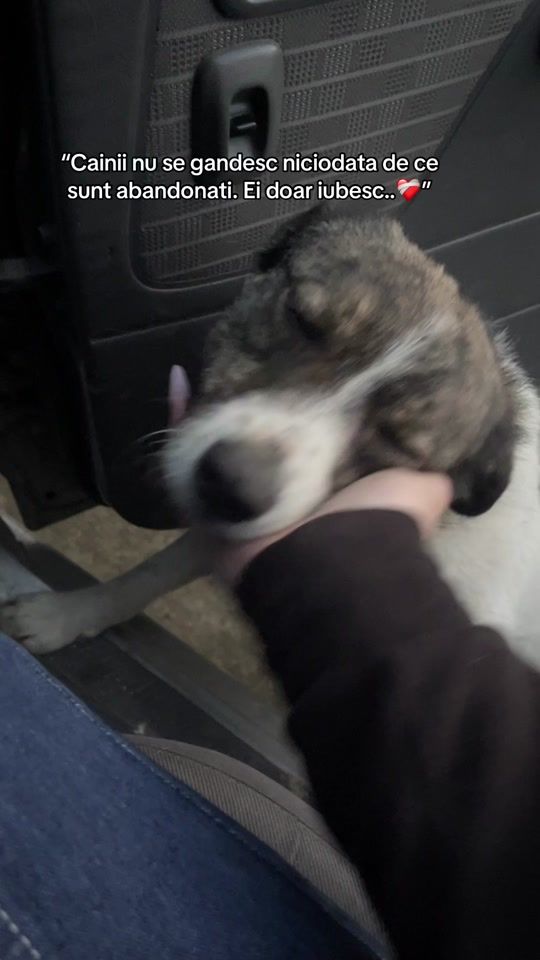 TikTok video thumbnail by de3aa.11