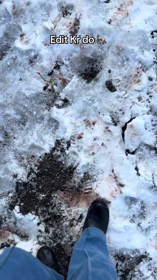 TikTok video thumbnail by shazukhan_official