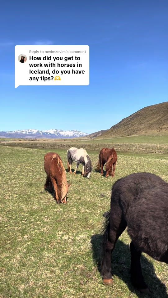 TikTok video thumbnail by karoinsaddle