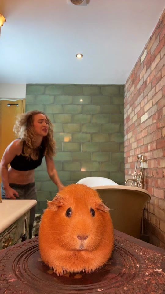 TikTok video thumbnail by remygumbs