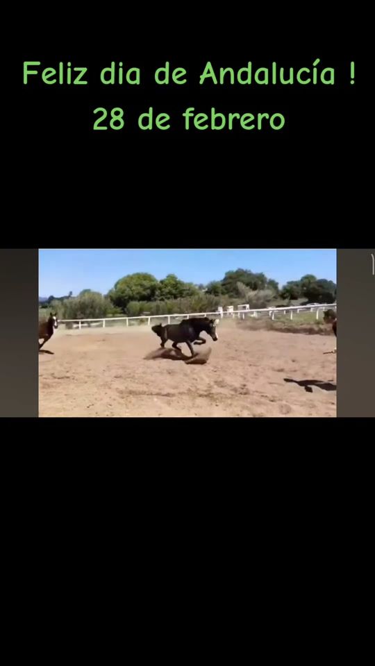 TikTok video thumbnail by wwwperlasur