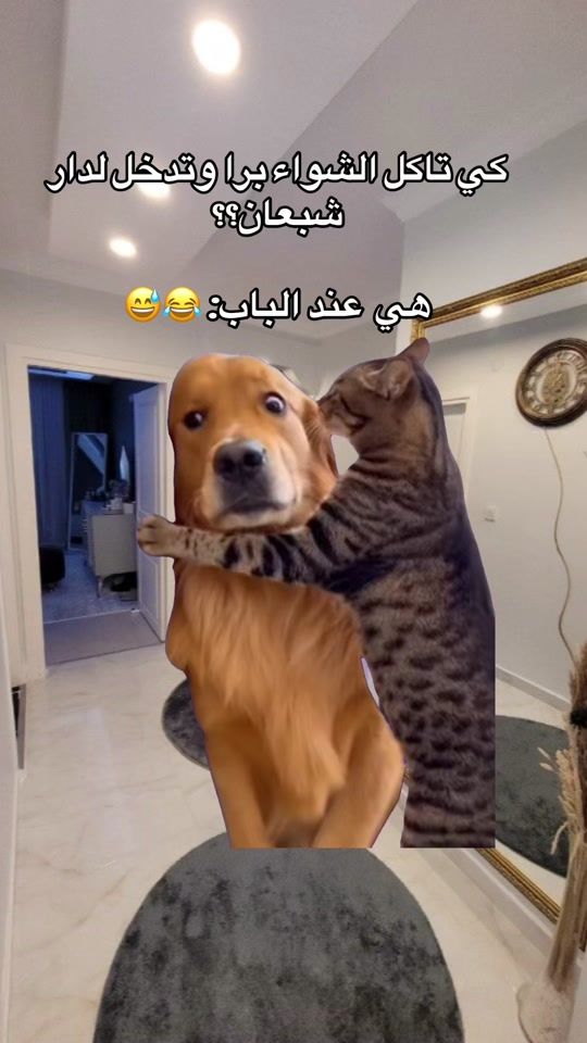 TikTok video thumbnail by chebira.oussama.dz