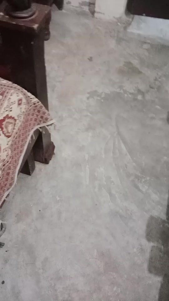 TikTok video thumbnail by pyarilarki247