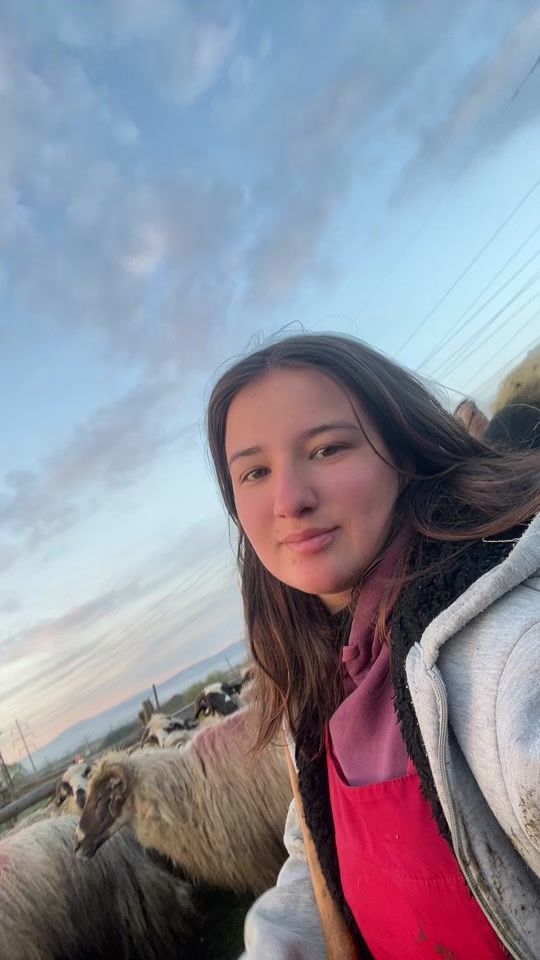 TikTok video thumbnail by adela_lupescu