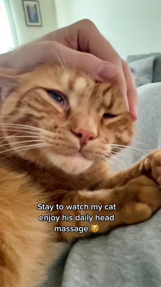 TikTok video thumbnail by roo.mercury