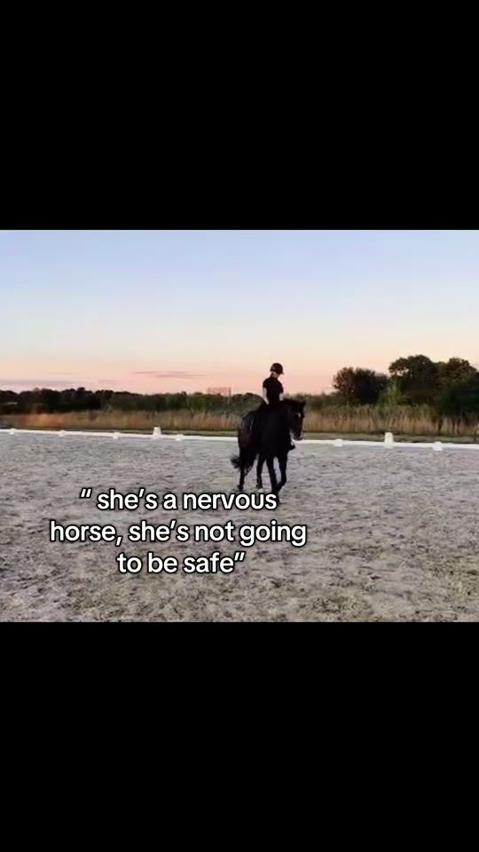 TikTok video thumbnail by e.iequestrian