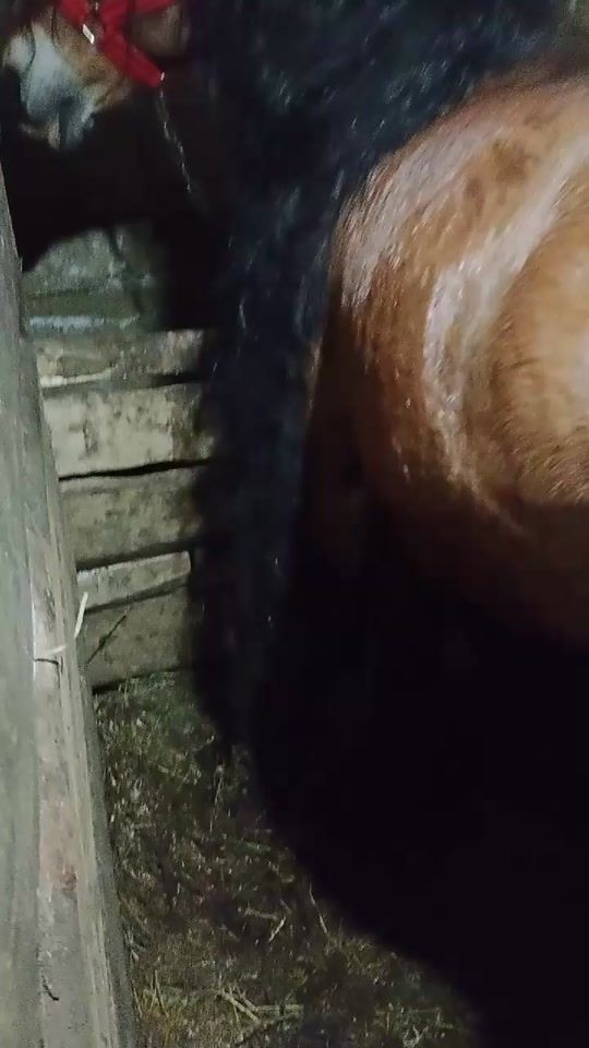 TikTok video thumbnail by adelin_robert