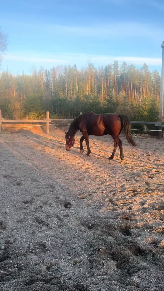 TikTok video thumbnail by ponirannantalli