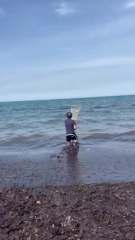 TikTok video thumbnail by peppe0684