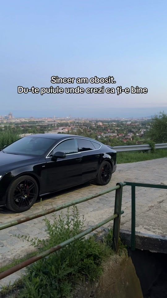 TikTok video thumbnail by razvan_0105