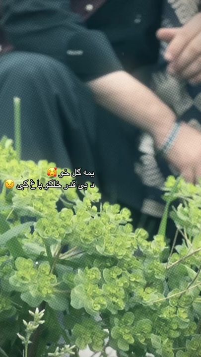 TikTok video thumbnail by hk7sameer
