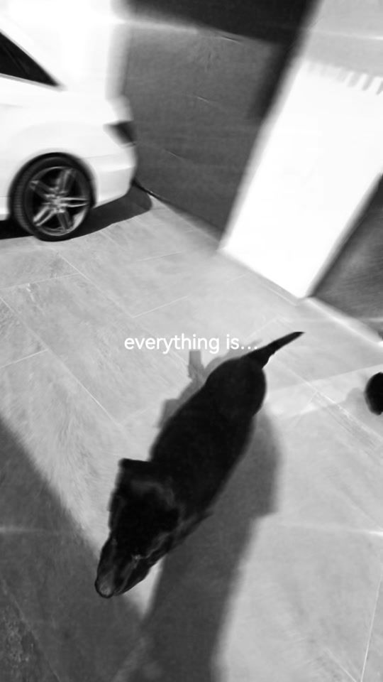 TikTok video thumbnail by sonya.maguran