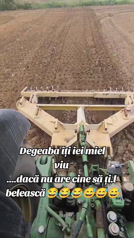TikTok video thumbnail by cipryjd