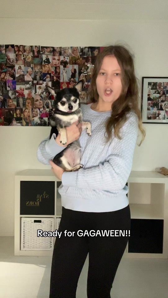 TikTok video thumbnail by hausofani