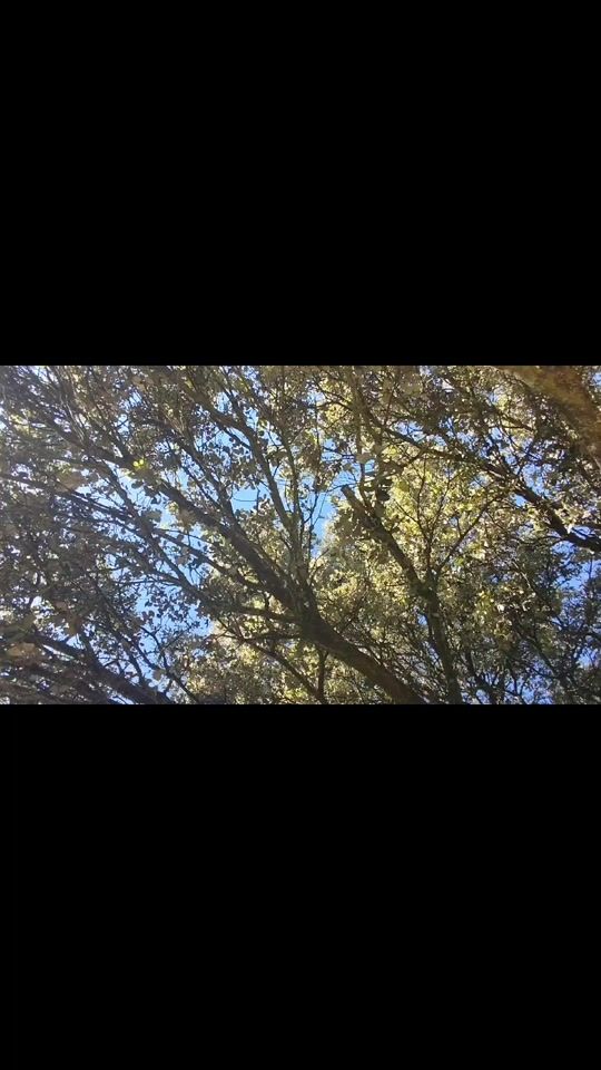 TikTok video thumbnail by anahnadin