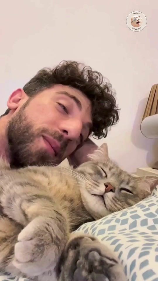 TikTok video thumbnail by datos.animalesz