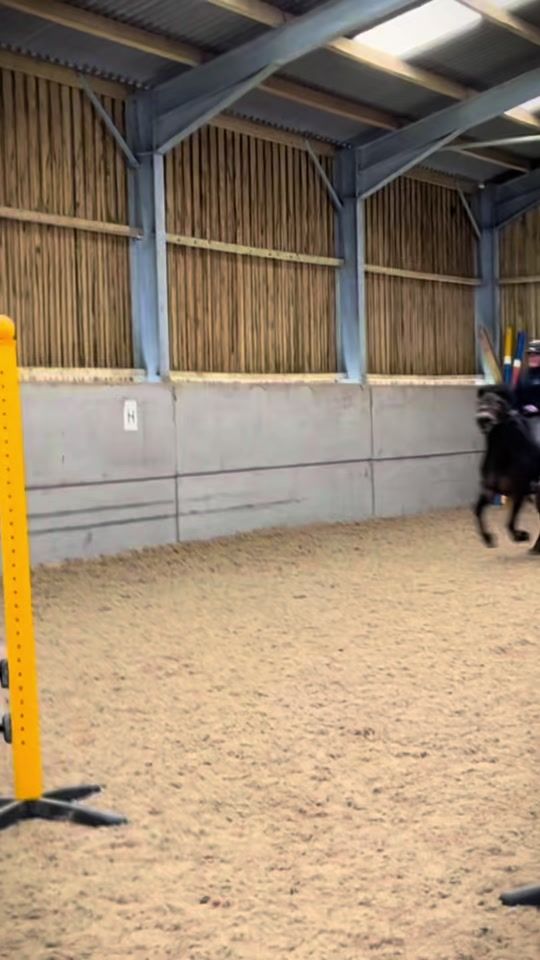 TikTok video thumbnail by oh.equestrian