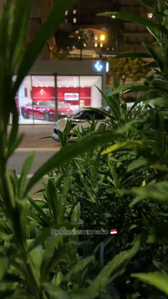 TikTok video thumbnail by spotcrissmonaco