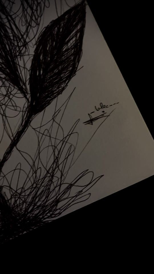 TikTok video thumbnail by _blec___