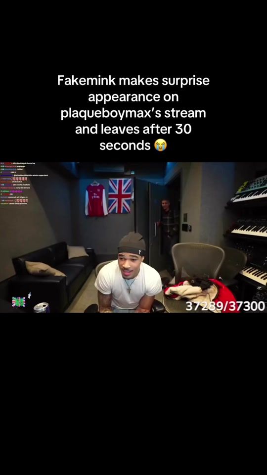 TikTok video thumbnail by fakemink.archive