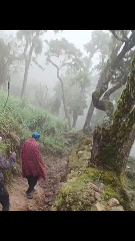 TikTok video thumbnail by afri_landscape