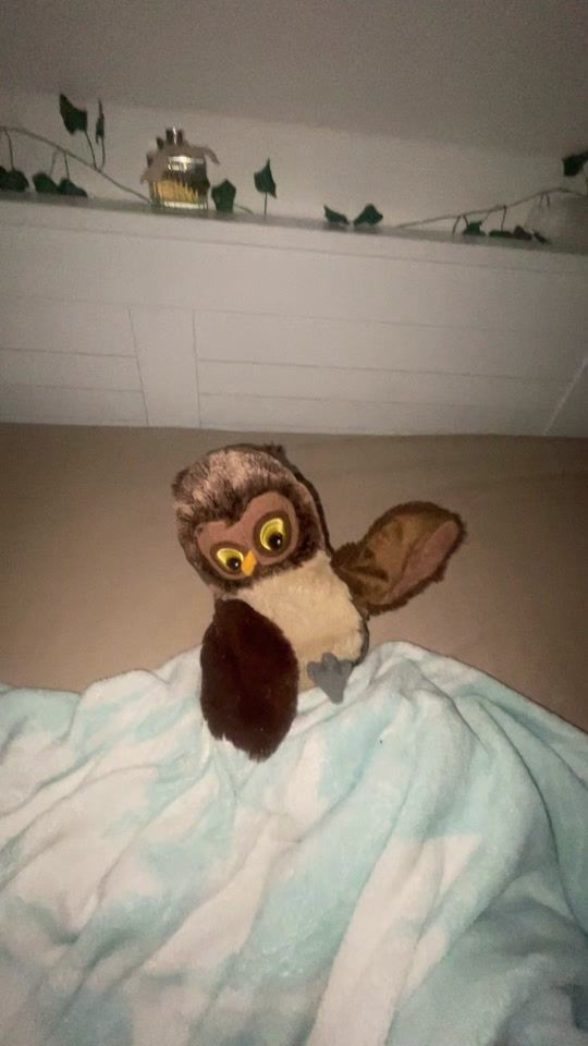 TikTok video thumbnail by plushie.dancer