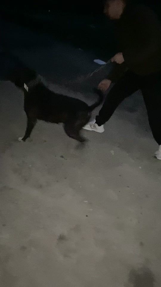 TikTok video thumbnail by demeter.claudiu10