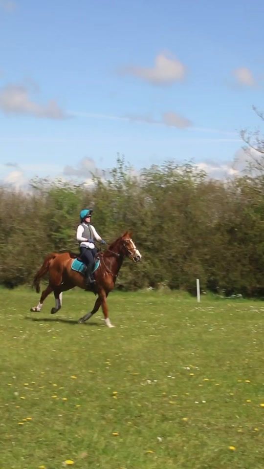 TikTok video thumbnail by madimcs.eventing