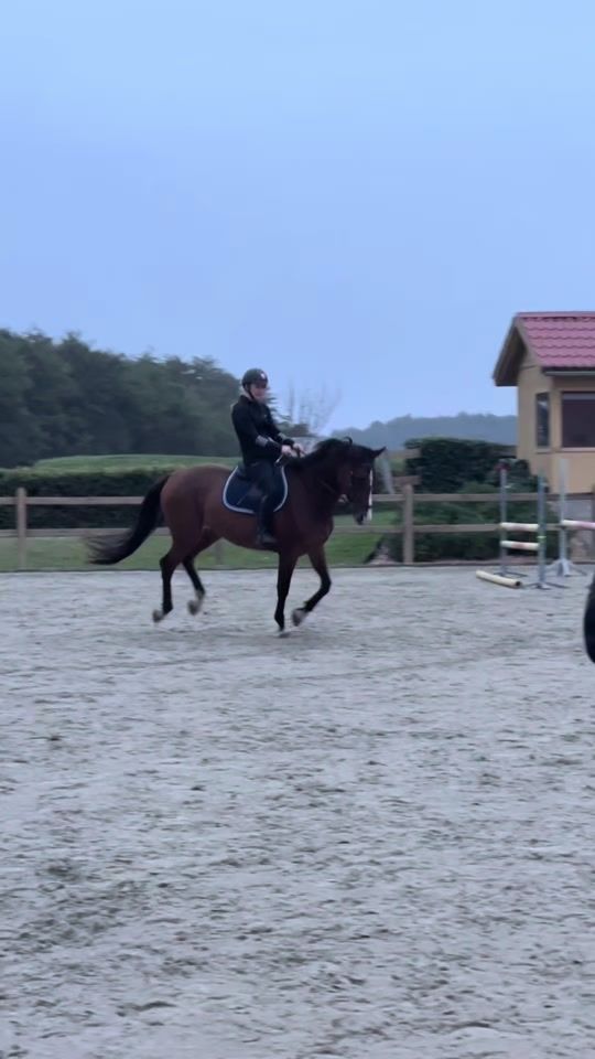 TikTok video thumbnail by eventing.thilde