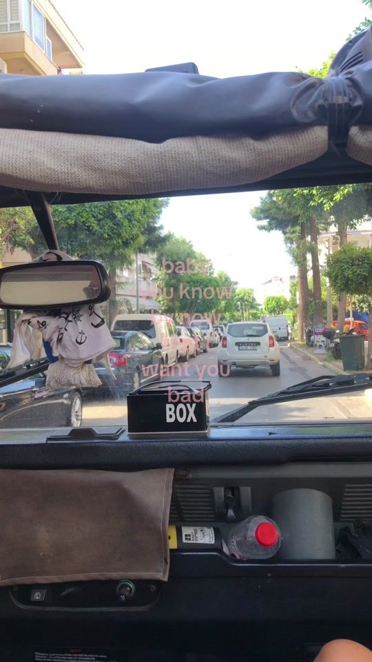 TikTok video thumbnail by flowerthelilly