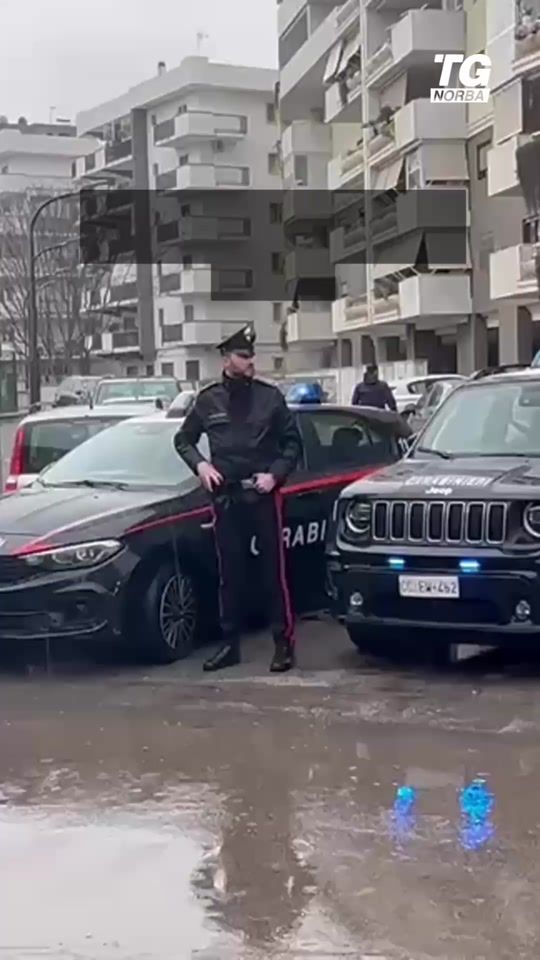 TikTok video thumbnail by tgnorba