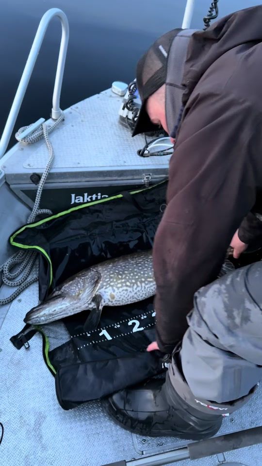 TikTok video thumbnail by sandracaramba