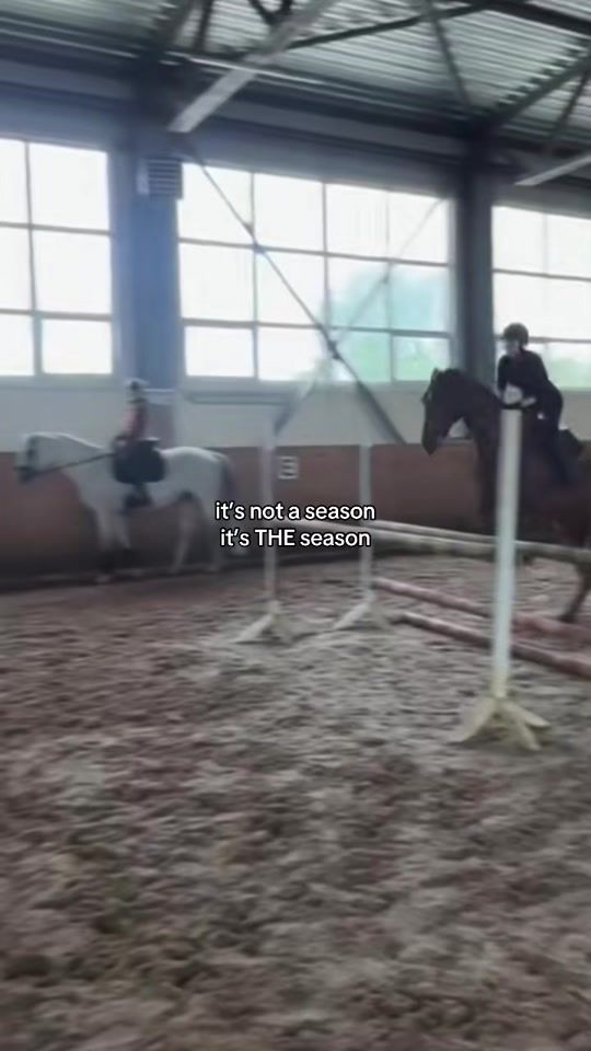 TikTok video thumbnail by equi.republic