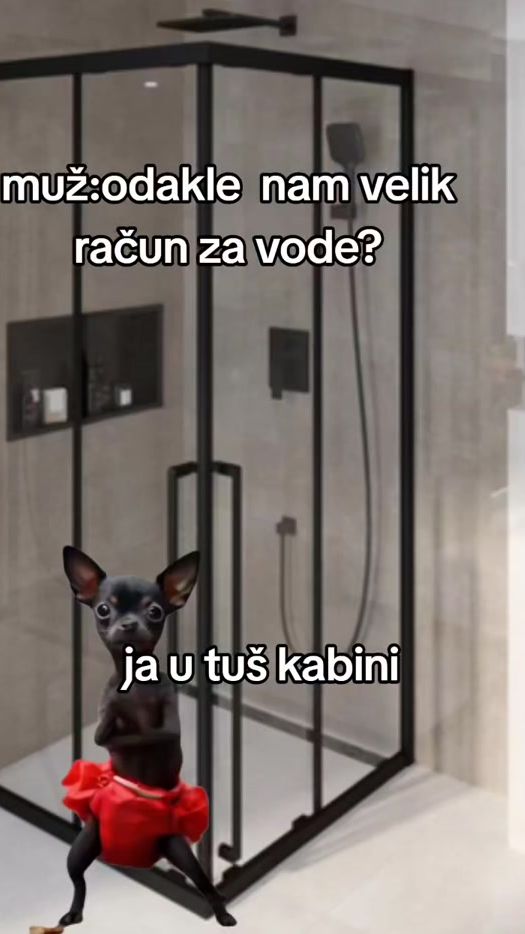 TikTok video thumbnail by humor.smeh.tiktok