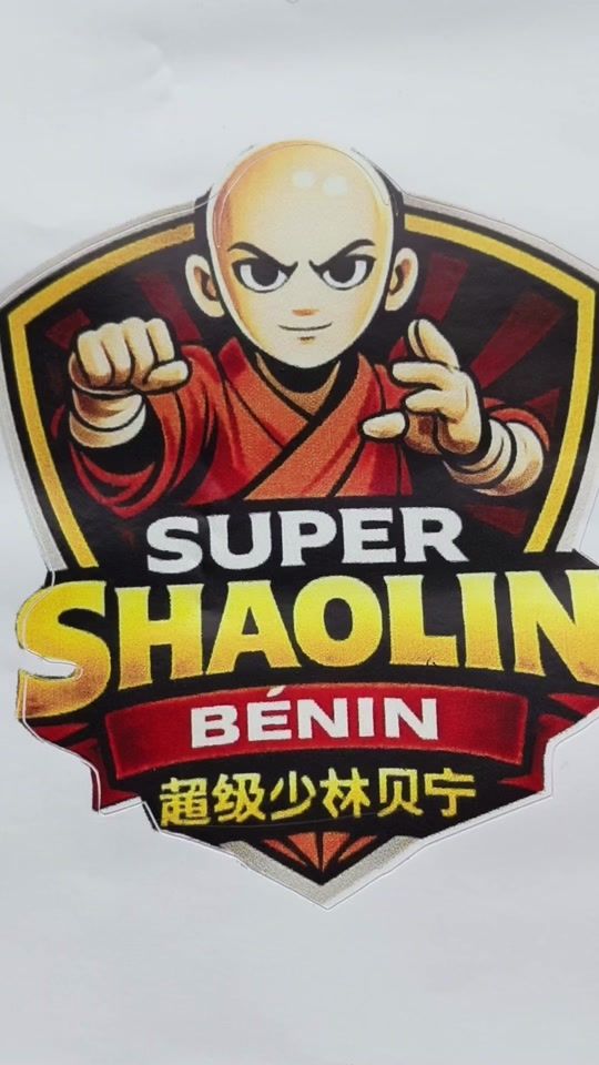 TikTok video thumbnail by maitre.shaolin229