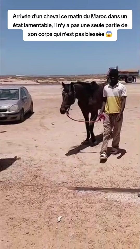 TikTok video thumbnail by centreequestredenkt