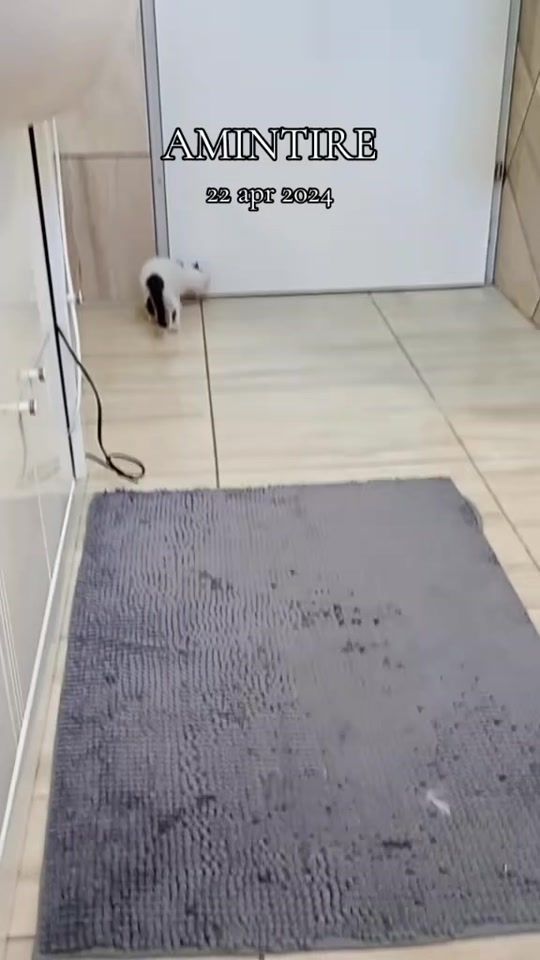 TikTok video thumbnail by taniapau632
