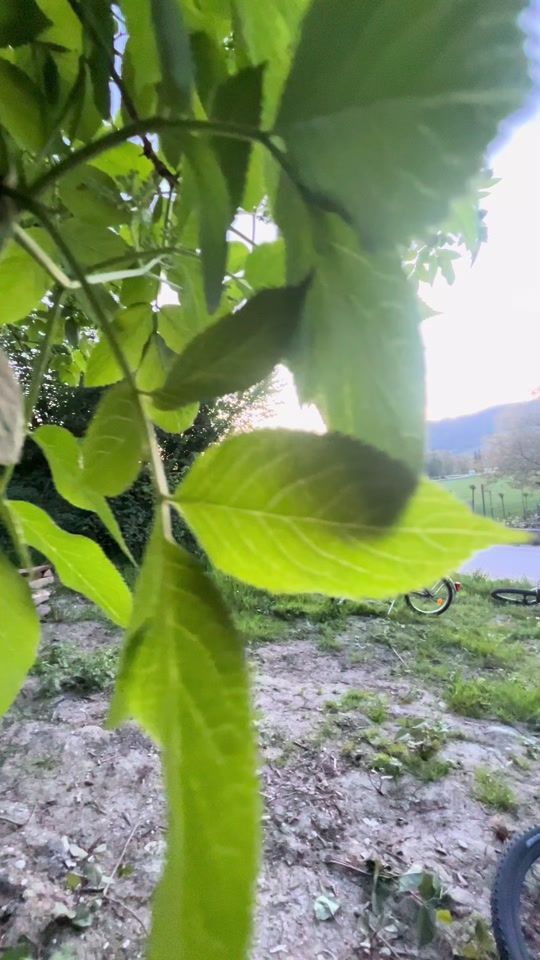 TikTok video thumbnail by barbermiha