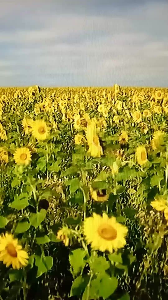 TikTok video thumbnail by sergei89795