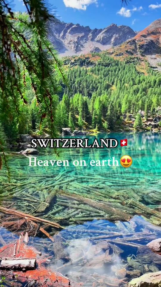TikTok video thumbnail by barbarainswitzerland