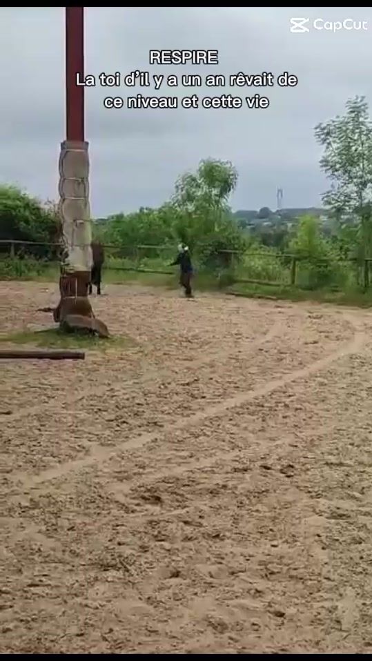 TikTok video thumbnail by fille_equitations