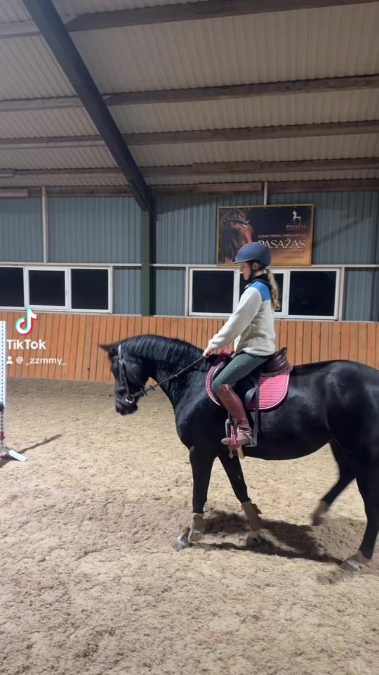 TikTok video thumbnail by gp.equestrainstables