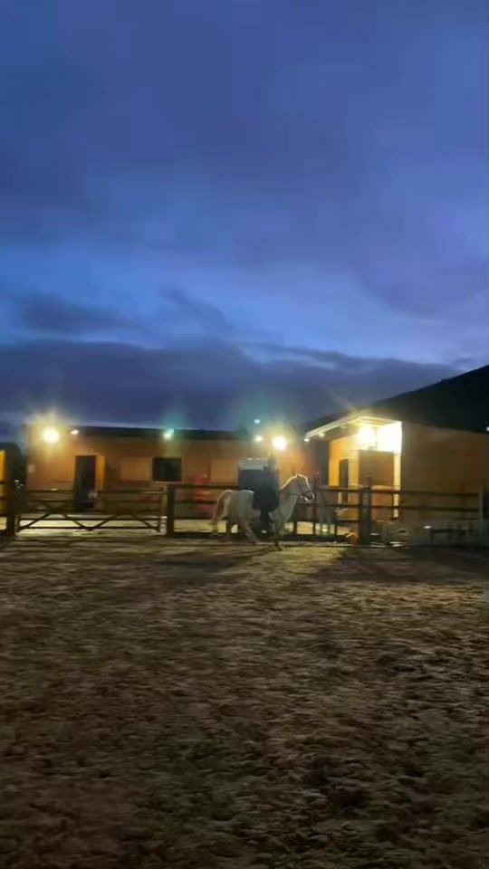 TikTok video thumbnail by equine_eryn
