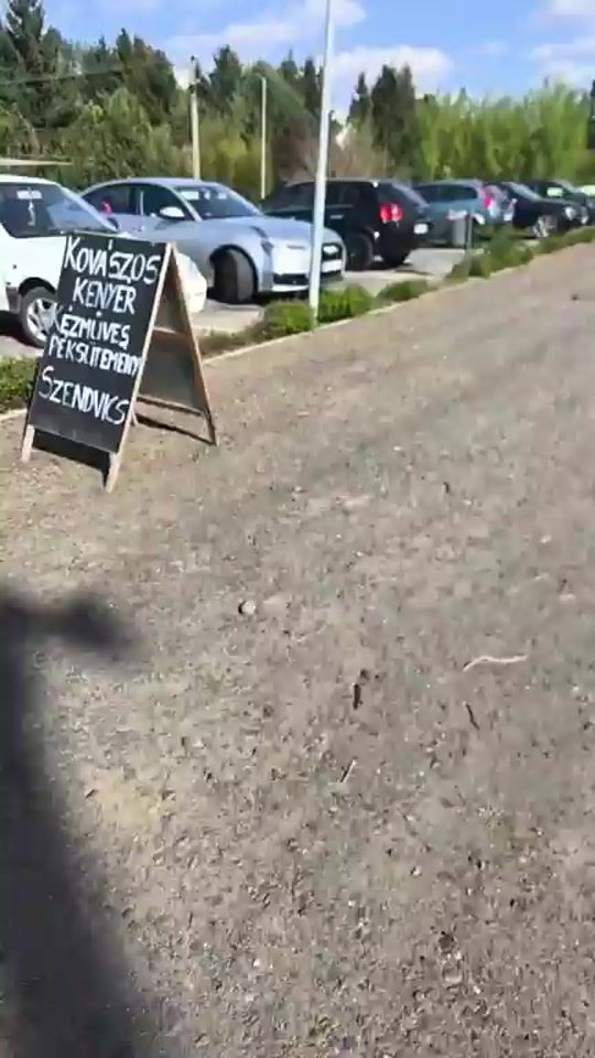 TikTok video thumbnail by mr.sharktheking