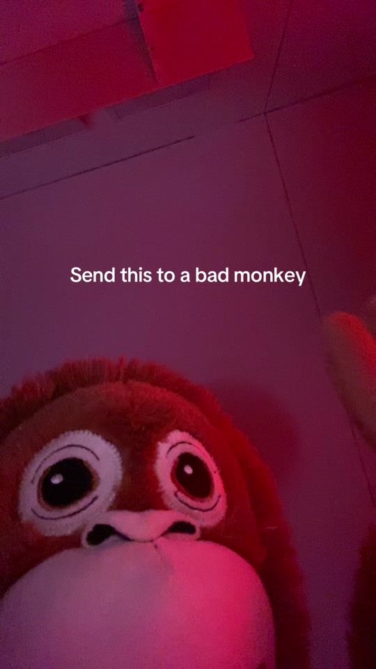 TikTok video thumbnail by itsmikomonkey