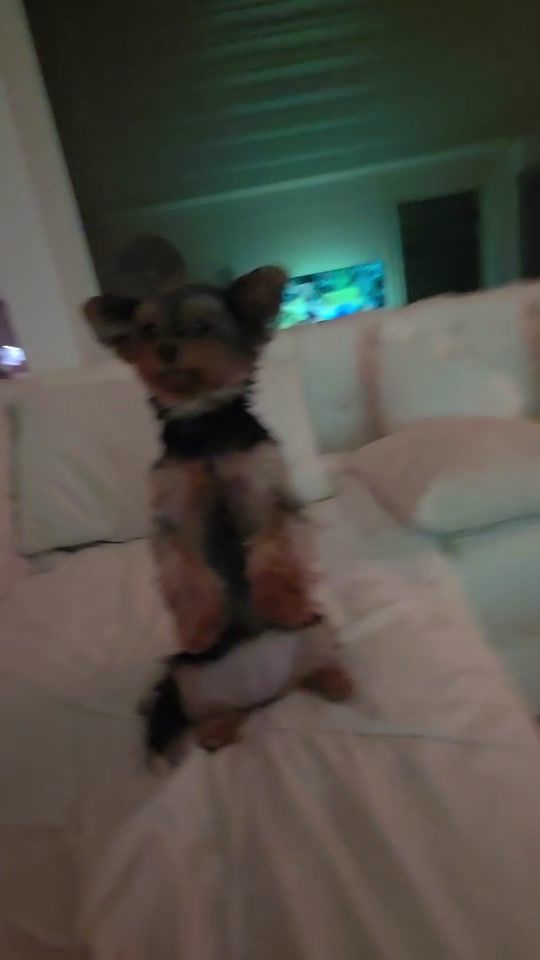 TikTok video thumbnail by eifelturm6