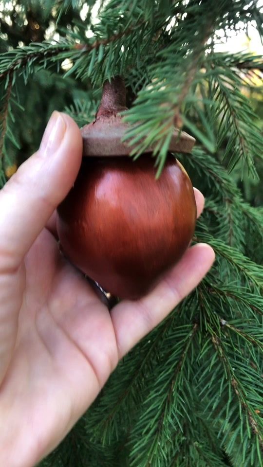 TikTok video thumbnail by teodorapana.ro