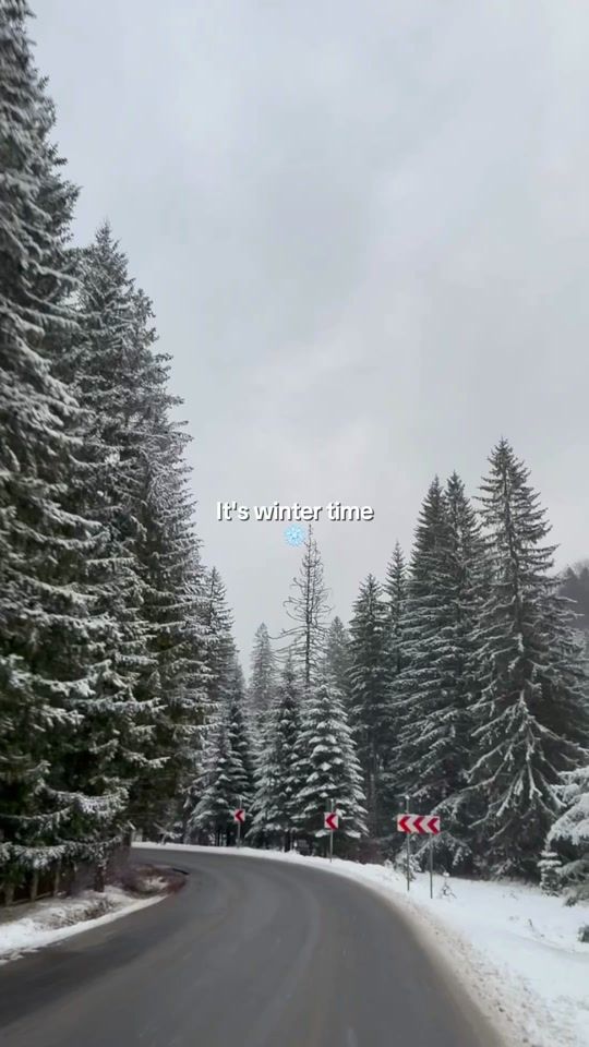 TikTok video thumbnail by andreeabododel